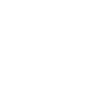 Lyon