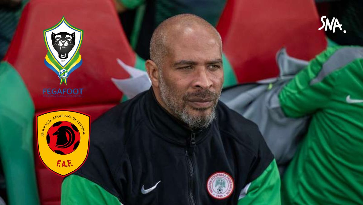 Football - Nigeria: Eric Chelle is most wanted