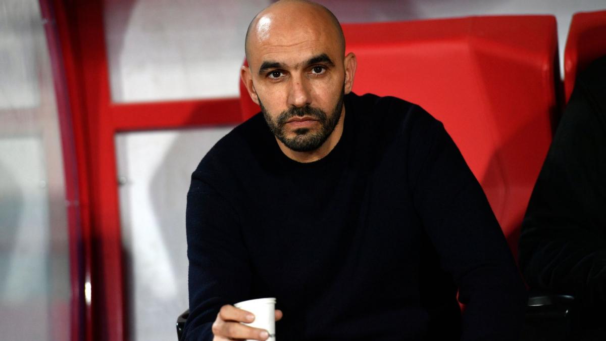 Maroc : Walid Regragui, un bilan exceptionnel !