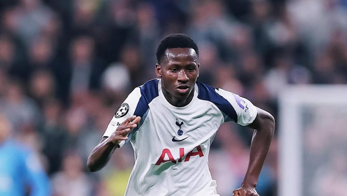 Premier League:  African players in the anguish of Tottenham