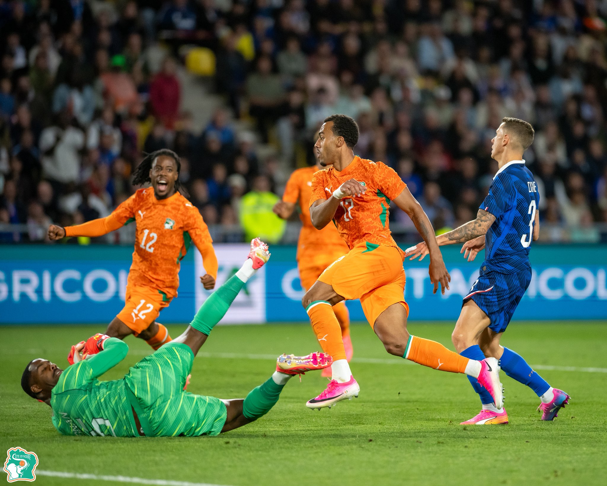 Côte d'Ivoire: What lessons from the victory against France