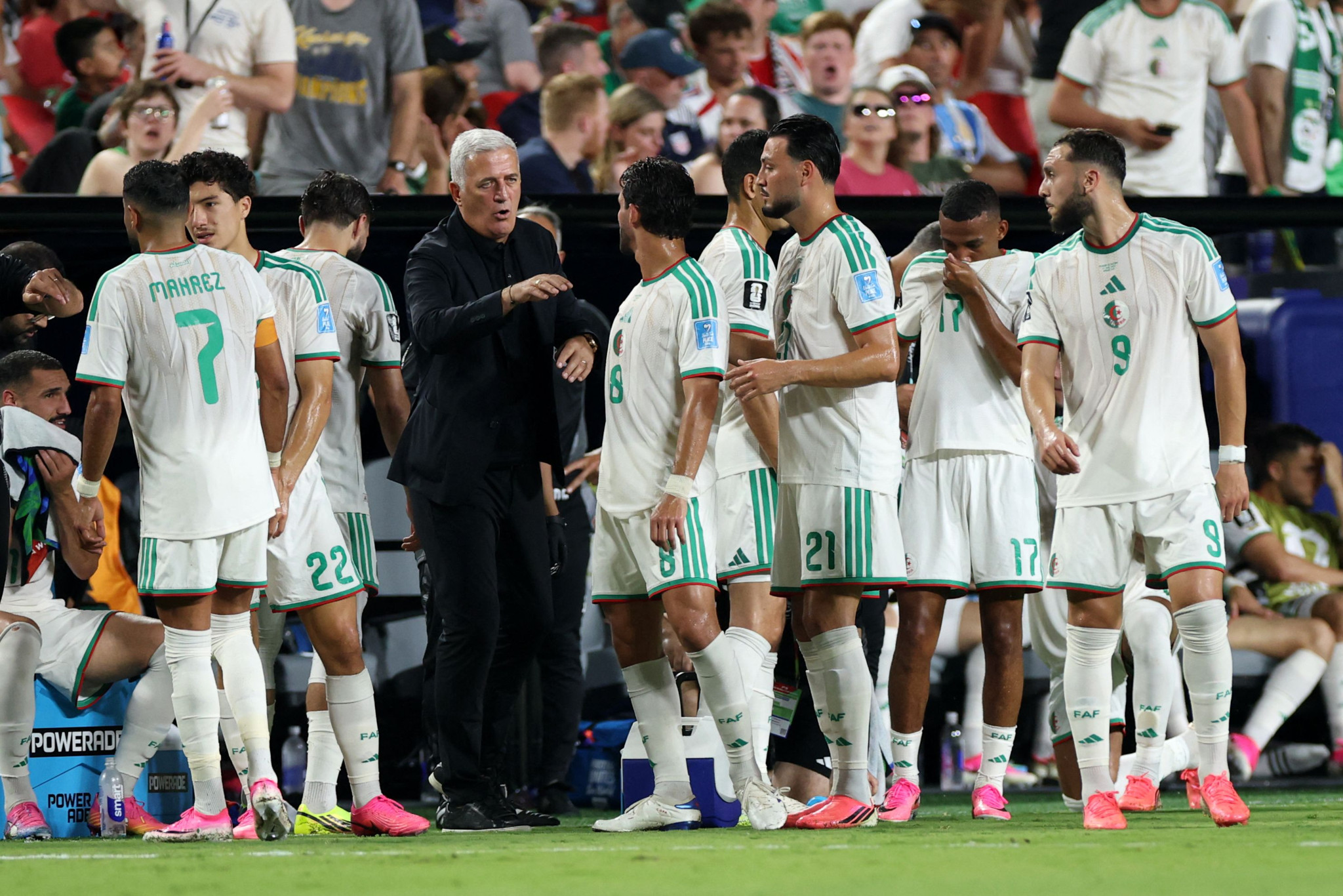 Algérie : la FAF tourne la page Petkovic après l'échec du Mondial 2026