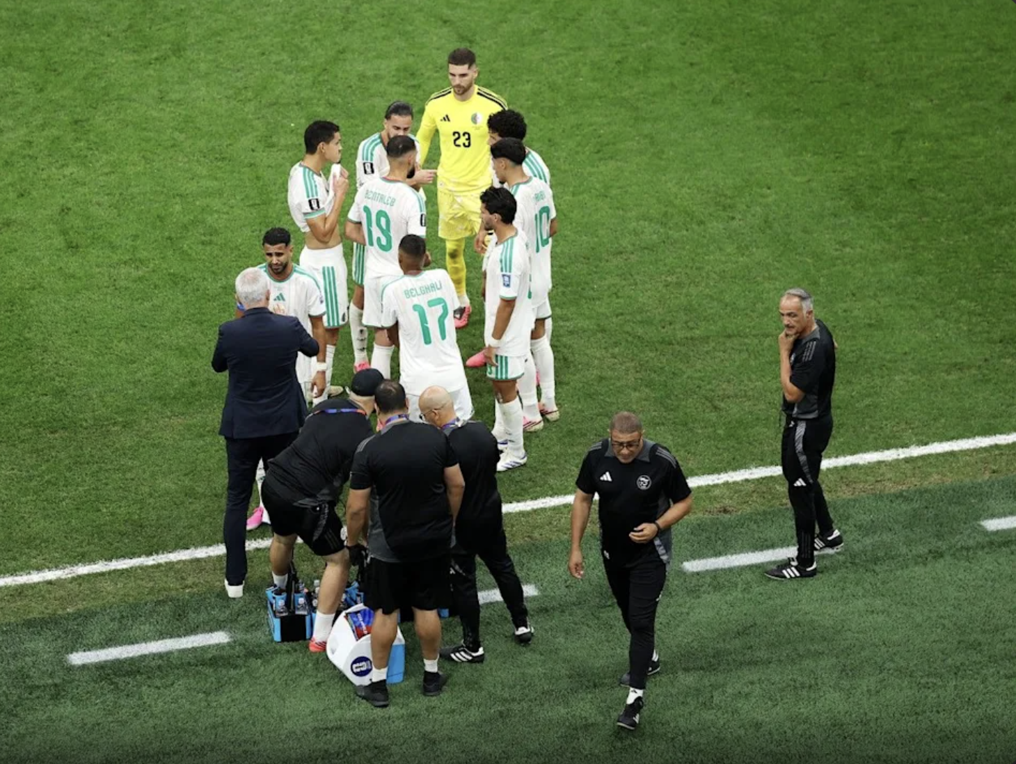 Algérie : ce que révèle vraiment l'élimination des Fennecs