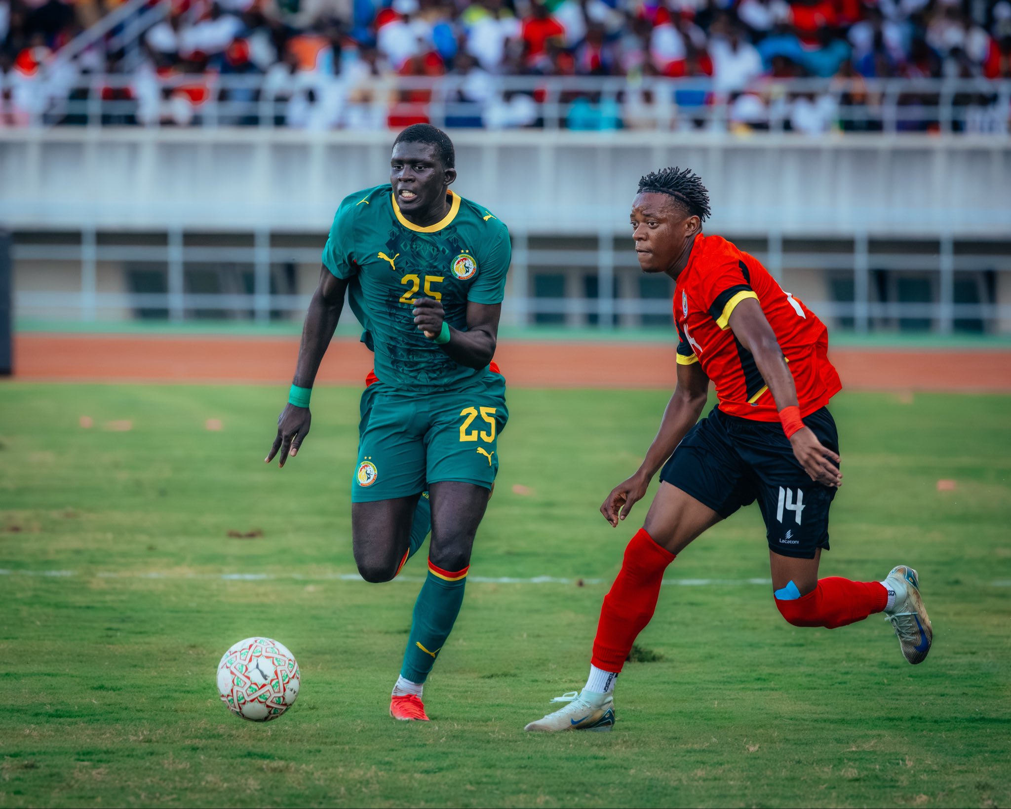 CAN 2027 (Q) : le Sénégal accroché, le Nigeria s'impose, le Maroc et l’Algérie séduisants