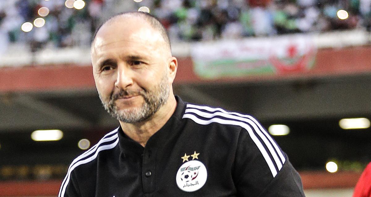 CAN 2023 : Djamel Belmadi-Algérie, la quête du bonheur des premières heures