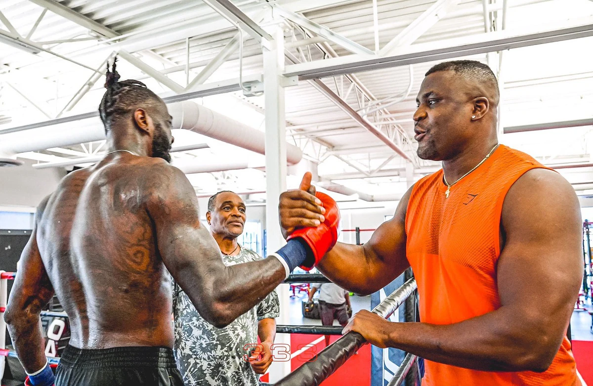 MMA : un choc Ngannou - Wilder ?