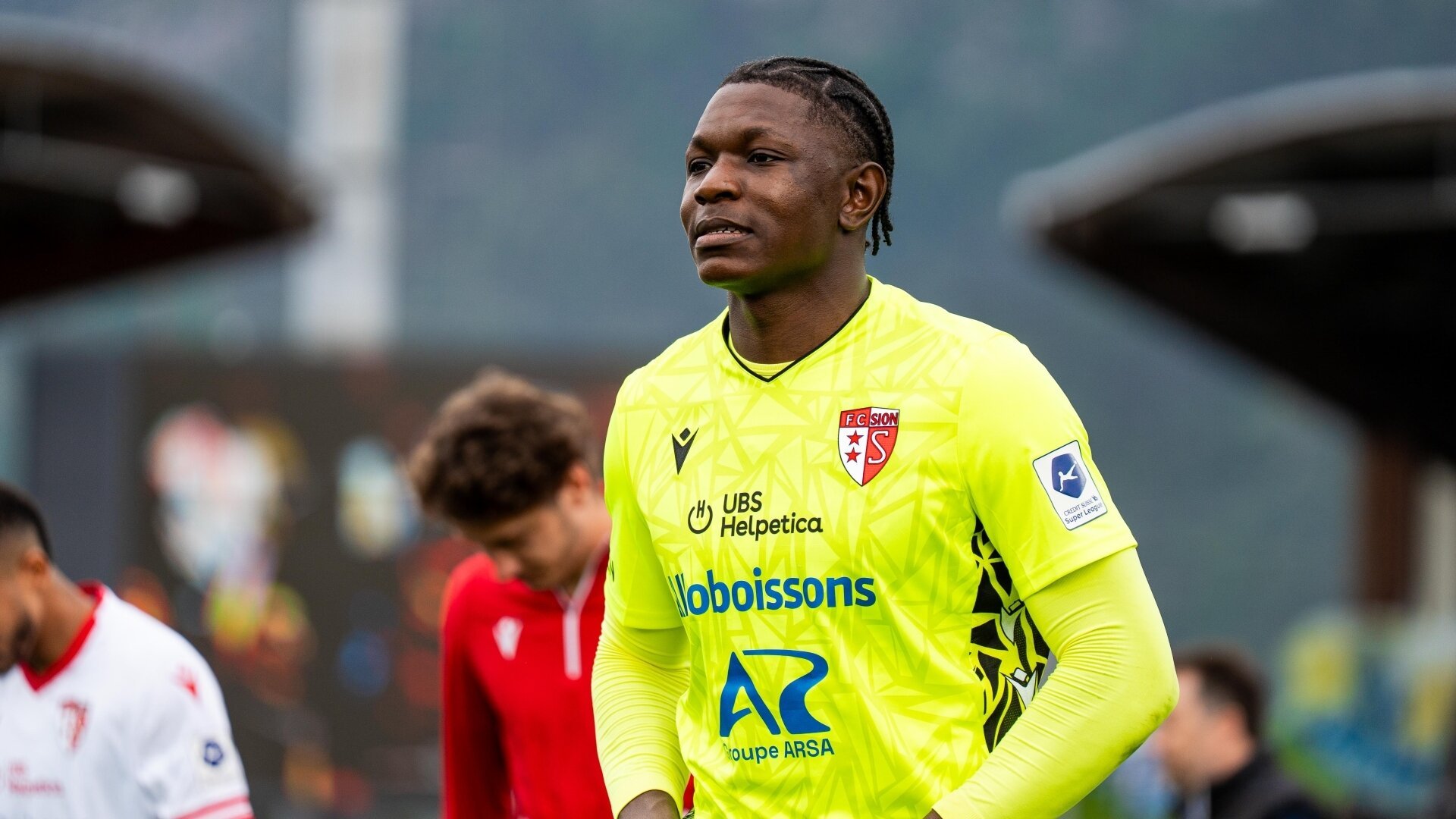 تيموثي فايولو