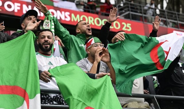 Algérie - RD Congo en direct : où suivre le 8e de finale de la CAN 2025 ?