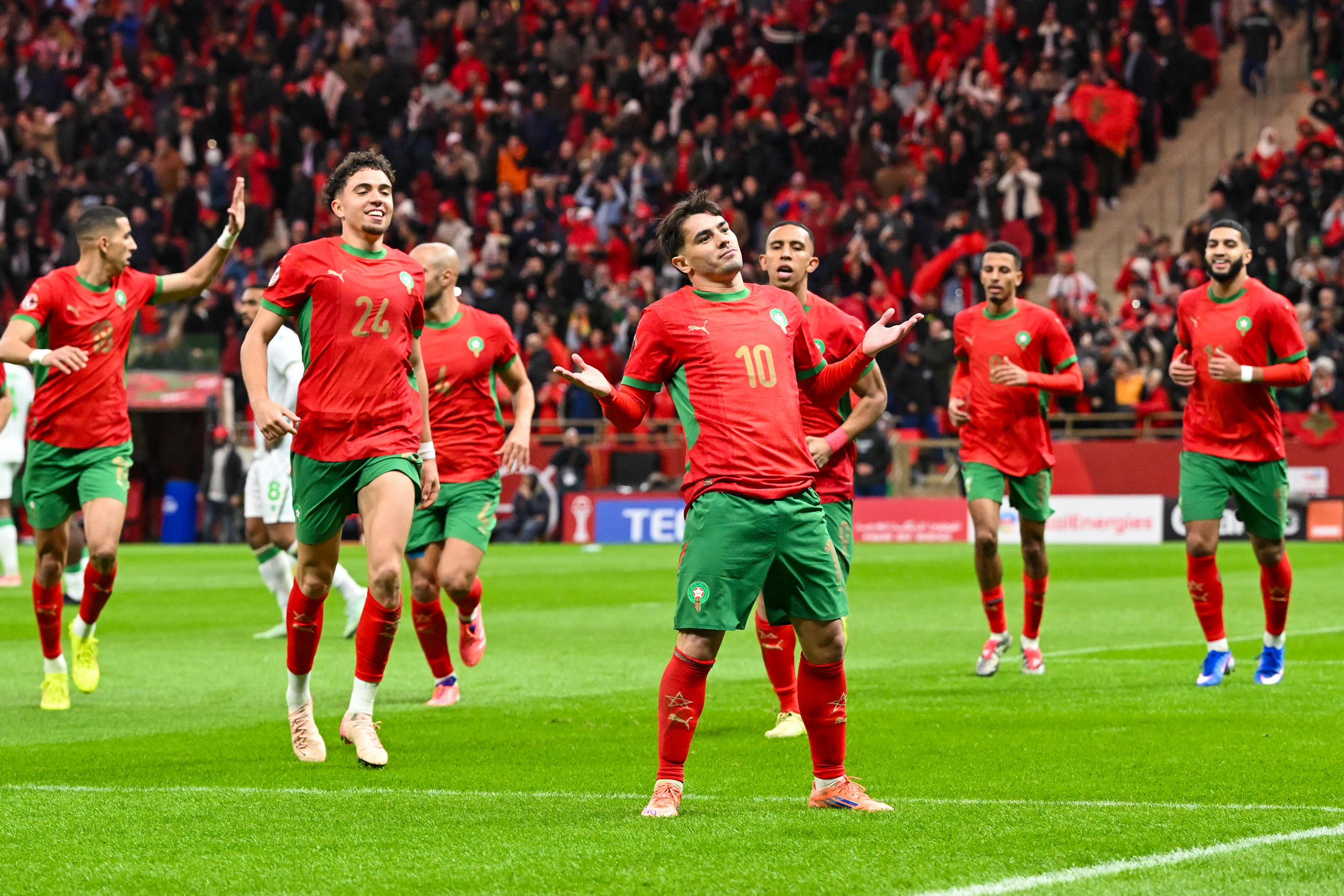 Maroc : un deuxième adversaire se dessine pour les Lions en mars