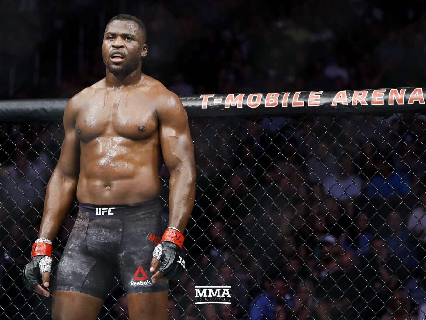 Francis Ngannou.