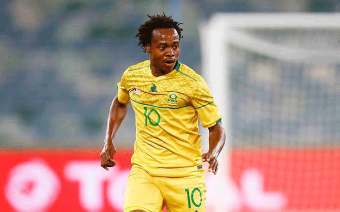 South Africa: Broos names preliminary squad for Guinea & France - Football  - Sport News Africa