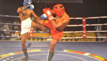 Kick boxing lancement de la saison en RD Congo