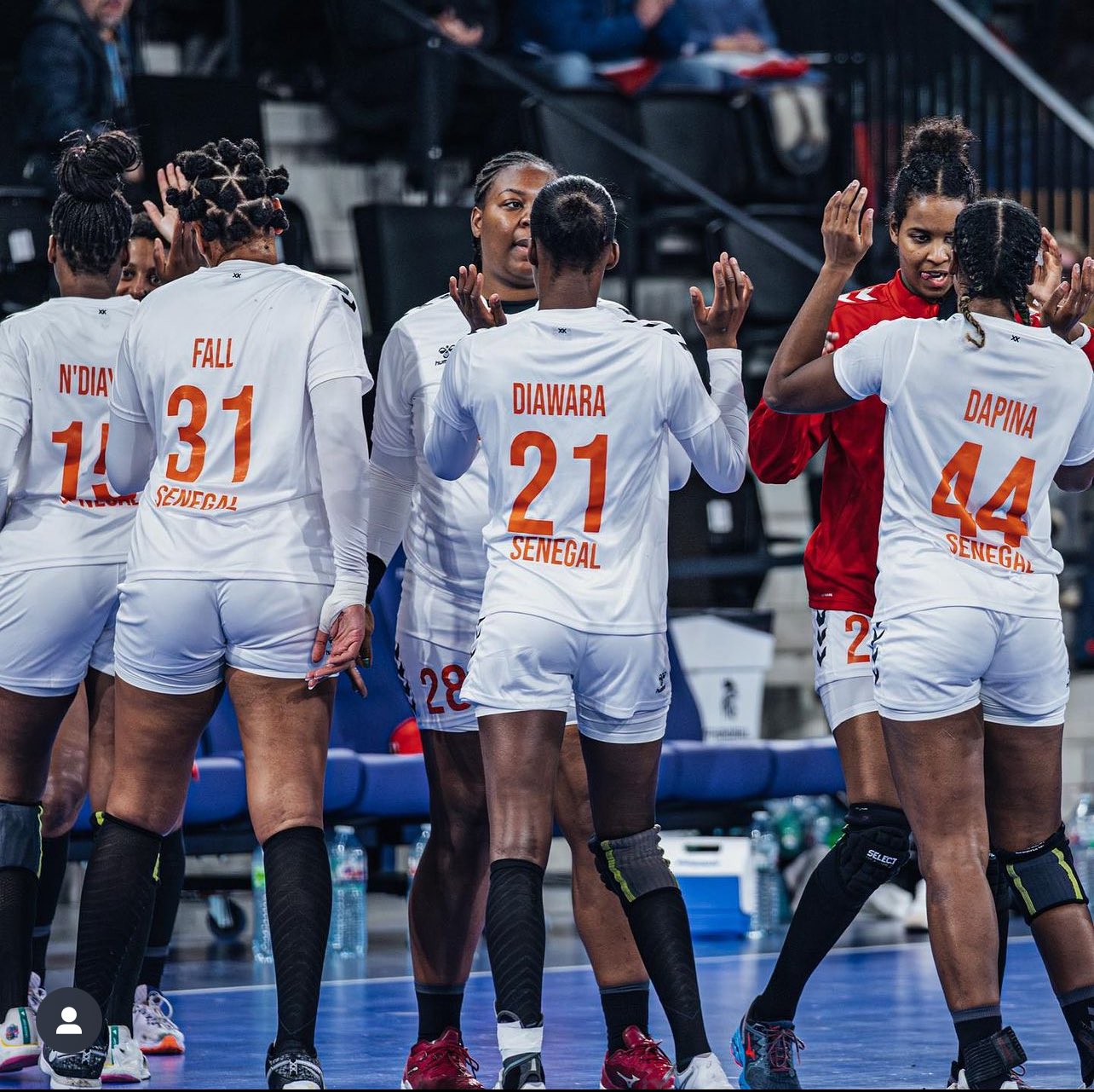 World Handball Championship (Women): Senegal draw with Croatia - Sport News  Africa