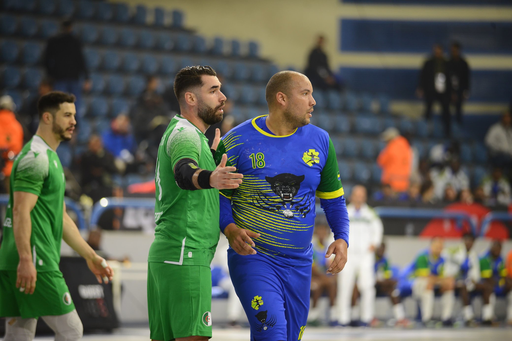Algérie handball 