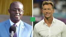 Sénégal : Augustin Senghor ne ferme pas la porte à Hervé Renard