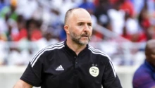 Algérie Djamel Belmadi serait proche d'un retour