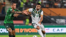 Conflit Fecafoot - MINSEP Frank Magri explique la position des Lions